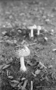 Filename=CT201104.jpg
Filesize=280KiB
Dimensions=500x800
Date added=Nov 08, 2020 CT201104.jpg