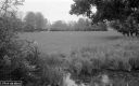 Filename=CT201106.jpg
Filesize=283KiB
Dimensions=800x500
Date added=Nov 08, 2020 CT201106.jpg