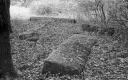Filename=CT201111.jpg
Filesize=329KiB
Dimensions=800x500
Date added=Nov 08, 2020 CT201111.jpg