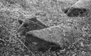 Filename=CT201112.jpg
Filesize=350KiB
Dimensions=800x500
Date added=Nov 08, 2020 CT201112.jpg