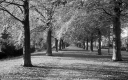 Filename=CT201113.jpg
Filesize=350KiB
Dimensions=800x500
Date added=Nov 08, 2020 CT201113.jpg