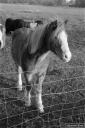 Filename=CT201114.jpg
Filesize=304KiB
Dimensions=532x800
Date added=Nov 08, 2020 CT201114.jpg