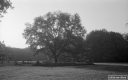 Filename=CT201116.jpg
Filesize=250KiB
Dimensions=800x500
Date added=Nov 08, 2020 CT201116.jpg