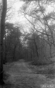 Filename=CT210203.jpg
Filesize=298KiB
Dimensions=500x800
Date added=Feb 28, 2021 CT210203.jpg