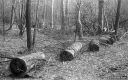 Filename=CT210205.jpg
Filesize=338KiB
Dimensions=800x500
Date added=Feb 28, 2021 CT210205.jpg
