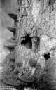 Filename=CT210207.jpg
Filesize=342KiB
Dimensions=500x800
Date added=Feb 28, 2021 CT210207.jpg