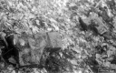 Filename=CT210208.jpg
Filesize=280KiB
Dimensions=800x500
Date added=Feb 28, 2021 CT210208.jpg