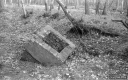 Filename=CT210210.jpg
Filesize=344KiB
Dimensions=800x500
Date added=Feb 28, 2021 CT210210.jpg