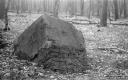 Filename=CT210211.jpg
Filesize=314KiB
Dimensions=800x500
Date added=Feb 28, 2021 CT210211.jpg