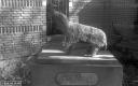 Filename=CT210214.jpg
Filesize=257KiB
Dimensions=800x500
Date added=Feb 28, 2021 CT210214.jpg
