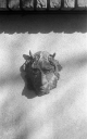 Filename=CT210215.jpg
Filesize=291KiB
Dimensions=500x800
Date added=Feb 28, 2021 CT210215.jpg