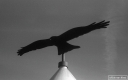 Filename=CT210218.jpg
Filesize=198KiB
Dimensions=800x500
Date added=Feb 28, 2021 CT210218.jpg