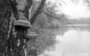 Filename=CT211006.jpg
Filesize=216KiB
Dimensions=800x500
Date added=Oct 20, 2021 CT211006.jpg