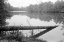 Filename=CT211007.jpg
Filesize=279KiB
Dimensions=800x532
Date added=Oct 20, 2021 CT211007.jpg