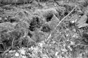 Filename=CT211008.jpg
Filesize=364KiB
Dimensions=800x532
Date added=Oct 20, 2021 CT211008.jpg