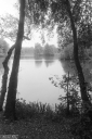 Filename=CT211009.jpg
Filesize=322KiB
Dimensions=532x800
Date added=Oct 20, 2021 CT211009.jpg