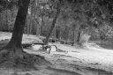 Filename=CT211017.jpg
Filesize=318KiB
Dimensions=800x532
Date added=Oct 20, 2021 CT211017.jpg