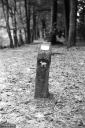 Filename=CT211019.jpg
Filesize=319KiB
Dimensions=532x800
Date added=Oct 20, 2021 CT211019.jpg