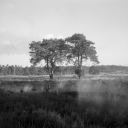 Filename=CT220204.jpg
Filesize=423KiB
Dimensions=1024x1024
Date added=Feb 13, 2022 CT220204.jpg