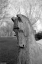Filename=CT230101.jpg
Filesize=424KiB
Dimensions=681x1024
Date added=Jan 08, 2023 CT230101.jpg