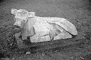 Filename=CT230102.jpg
Filesize=495KiB
Dimensions=1024x681
Date added=Jan 08, 2023 CT230102.jpg