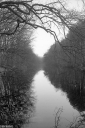Filename=CT230104.jpg
Filesize=526KiB
Dimensions=681x1024
Date added=Jan 08, 2023 CT230104.jpg