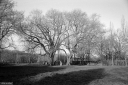 Filename=CT230107.jpg
Filesize=563KiB
Dimensions=1024x681
Date added=Jan 08, 2023 CT230107.jpg