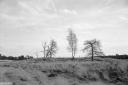 Filename=CT230115.jpg
Filesize=419KiB
Dimensions=1024x681
Date added=Jan 08, 2023 CT230115.jpg