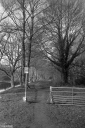 Filename=CT230205.jpg
Filesize=589KiB
Dimensions=681x1024
Date added=Feb 26, 2023 CT230205.jpg