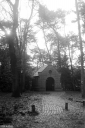 Filename=CT230206.jpg
Filesize=473KiB
Dimensions=681x1024
Date added=Feb 26, 2023 CT230206.jpg