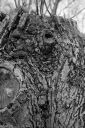 Filename=CT240302.jpg
Filesize=582KiB
Dimensions=681x1024
Date added=Mar 03, 2024 CT240302.jpg