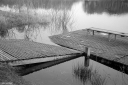 Filename=CT240304.jpg
Filesize=570KiB
Dimensions=1024x681
Date added=Mar 03, 2024 CT240304.jpg