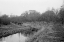 Filename=CT240306.jpg
Filesize=511KiB
Dimensions=1024x681
Date added=Mar 03, 2024 CT240306.jpg