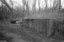 Filename=CT240308.jpg
Filesize=678KiB
Dimensions=1024x681
Date added=Mar 03, 2024 CT240308.jpg