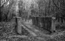 Filename=CT240309.jpg
Filesize=686KiB
Dimensions=1062x681
Date added=Mar 03, 2024 CT240309.jpg
