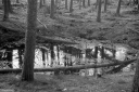 Filename=CT240318.jpg
Filesize=588KiB
Dimensions=1024x681
Date added=Mar 03, 2024 CT240318.jpg