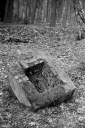 Filename=CT240320.jpg
Filesize=657KiB
Dimensions=681x1024
Date added=Mar 03, 2024 CT240320.jpg