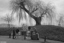Filename=CV230202.jpg
Filesize=527KiB
Dimensions=1024x681
Date added=Feb 06, 2023 CV230202.jpg