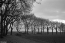 Filename=CV230204.jpg
Filesize=536KiB
Dimensions=1024x681
Date added=Feb 06, 2023 CV230204.jpg