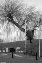 Filename=CV250101.jpg
Filesize=569KiB
Dimensions=681x1024
Date added=Feb 01, 2025 CV250101.jpg
