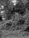 Filename=CW170928.jpg
Filesize=276KiB
Dimensions=480x640
Date added=Sep 17, 2017 CW170928.jpg