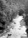 Filename=CW170934.jpg
Filesize=267KiB
Dimensions=480x640
Date added=Sep 17, 2017 CW170934.jpg