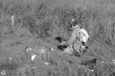 Filename=CW220939.jpg
Filesize=600KiB
Dimensions=1024x681
Date added=Sep 25, 2022 CW220939.jpg
