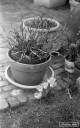 Filename=Contax1v7test03.jpg
Filesize=324KiB
Dimensions=500x800
Date added=Mar 03, 2019 Contax1v7test03.jpg