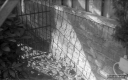 Filename=Contax1v7test04.jpg
Filesize=241KiB
Dimensions=800x500
Date added=Mar 03, 2019 Contax1v7test04.jpg