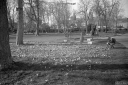 Filename=DB220325.jpg
Filesize=552KiB
Dimensions=1024x680
Date added=Mar 07, 2022 DB220325.jpg