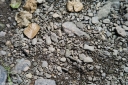 Filename=DL220805.jpg
Filesize=885KiB
Dimensions=1024x681
Date added=Aug 14, 2022 DL220805.jpg