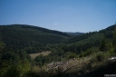 Filename=DL220841.jpg
Filesize=511KiB
Dimensions=1024x681
Date added=Aug 14, 2022 DL220841.jpg