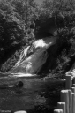 Filename=DL220844.jpg
Filesize=461KiB
Dimensions=681x1024
Date added=Aug 16, 2022 DL220844.jpg