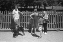 Filename=DL220845.jpg
Filesize=474KiB
Dimensions=1024x681
Date added=Aug 16, 2022 DL220845.jpg